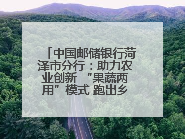 中国邮储银行菏泽市分行：助力农业创新 “果蔬两用”模式 跑出乡村振兴加速度