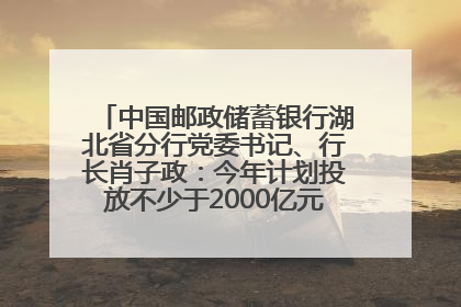 中国邮政储蓄银行湖北省分行党委书记、行长肖子政：今年计划投放不少于2000亿元支持支点建设
