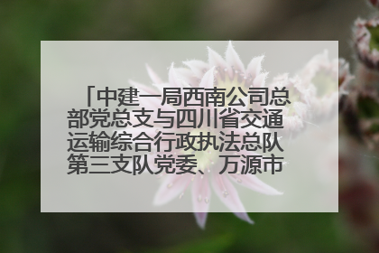 中建一局西南公司总部党总支与四川省交通运输综合行政执法总队第三支队党委、万源市草坝镇莲花院村党支部开展党建联建
