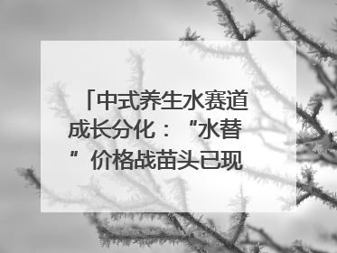 中式养生水赛道成长分化：“水替”价格战苗头已现 “功能饮”价高市场难打开｜中药大健康赛道迭变