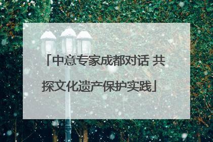 中意专家成都对话 共探文化遗产保护实践