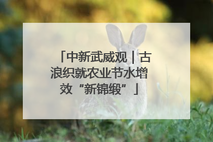 中新武威观｜古浪织就农业节水增效“新锦缎”