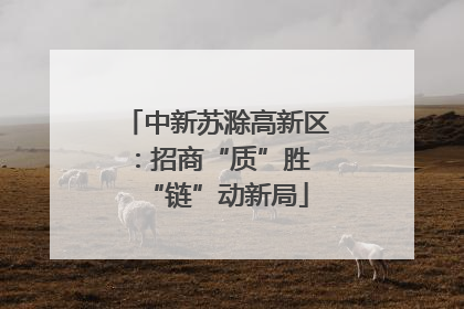 中新苏滁高新区：招商“质”胜 “链”动新局