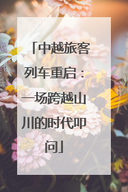 中越旅客列车重启：一场跨越山川的时代叩问