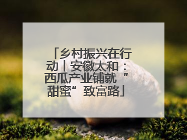 乡村振兴在行动丨安徽太和：西瓜产业铺就“甜蜜”致富路