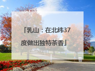 乳山：在北纬37度做出独特茶香