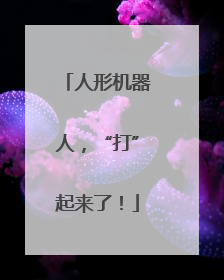 人形机器人，“打”起来了！