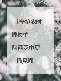 争抢农时插秧忙——陕西汉中夏播见闻