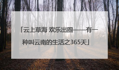 云上草海 欢乐出圈——有一种叫云南的生活之365天