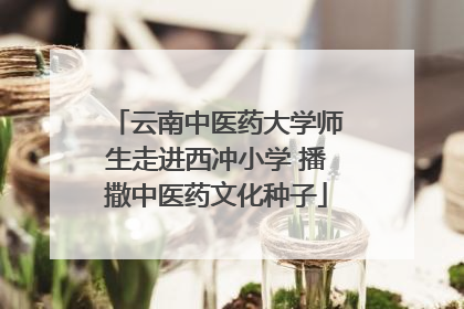 云南中医药大学师生走进西冲小学 播撒中医药文化种子