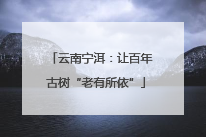 云南宁洱：让百年古树“老有所依”