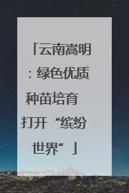 云南嵩明：绿色优质种苗培育 打开“缤纷世界”
