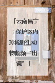 云南昌宁：保护区内珍稀野生动物频频“出镜”