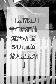 云南江川举行增殖放流活动 逾54万尾鱼游入星云湖