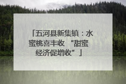 五河县新集镇：水蜜桃喜丰收 “甜蜜经济促增收”
