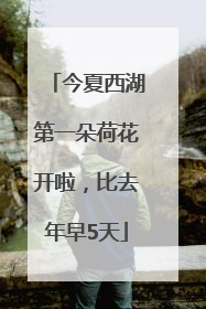 今夏西湖第一朵荷花开啦，比去年早5天