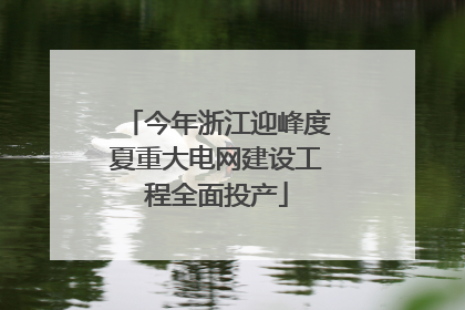 今年浙江迎峰度夏重大电网建设工程全面投产