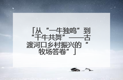 从“一牛独鸣”到“千牛共舞”——古渡河口乡村振兴的“牧场答卷”