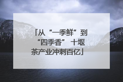 从“一季鲜”到“四季香” 十堰茶产业冲刺百亿