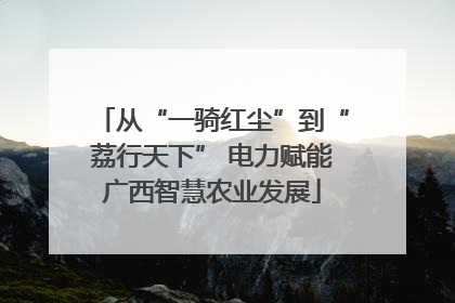 从“一骑红尘”到“荔行天下” 电力赋能广西智慧农业发展
