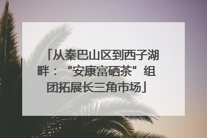 从秦巴山区到西子湖畔：“安康富硒茶”组团拓展长三角市场