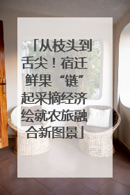 从枝头到舌尖！宿迁鲜果“链”起采摘经济绘就农旅融合新图景