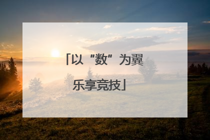 以“数”为翼 乐享竞技