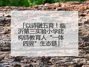 以诗融五育！临沂第三实验小学建构诗教育人“一体四翼”生态链