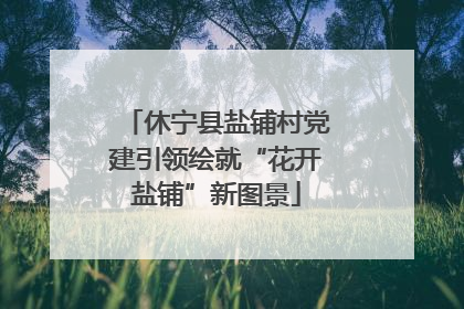 休宁县盐铺村党建引领绘就“花开盐铺”新图景
