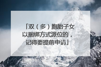 双（多）胞胎子女以捆绑方式派位的，记得要提前申请