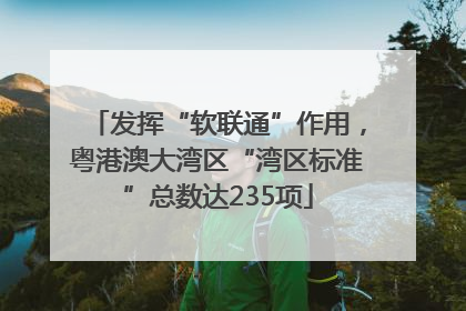 发挥“软联通”作用，粤港澳大湾区“湾区标准”总数达235项