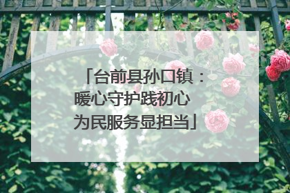 台前县孙口镇：暖心守护践初心 为民服务显担当
