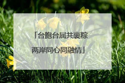 台胞台属共裹粽 两岸同心同融情