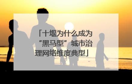 十堰为什么成为“黑马型”城市治理网络维度典型
