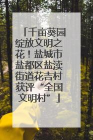 千亩葵园绽放文明之花！盐城市盐都区盐渎街道花吉村获评“全国文明村”