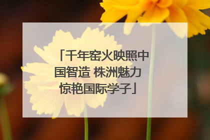 千年窑火映照中国智造 株洲魅力惊艳国际学子