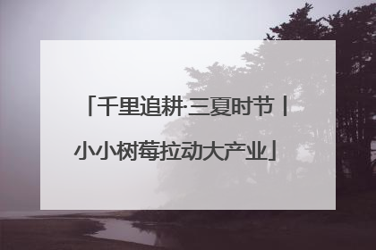 千里追耕·三夏时节丨小小树莓拉动大产业