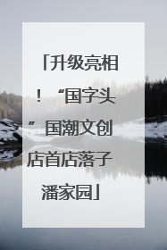 升级亮相！“国字头”国潮文创店首店落子潘家园