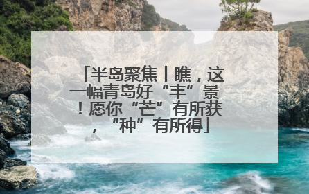 半岛聚焦丨瞧，这一幅青岛好“丰”景！愿你“芒”有所获，“种”有所得
