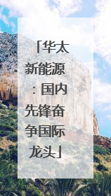 华太新能源：国内先锋奋争国际龙头