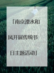 南京溧水和凤开展传统节日主题活动