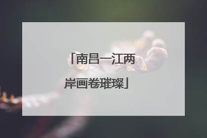 南昌一江两岸画卷璀璨
