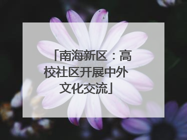 南海新区：高校社区开展中外文化交流