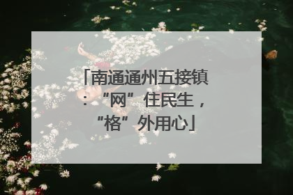 南通通州五接镇：“网”住民生，“格”外用心