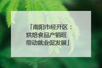 南阳市经开区：烘焙食品产销旺 带动就业促发展