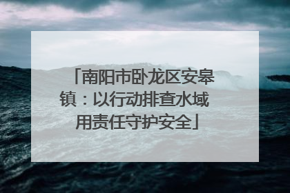 南阳市卧龙区安皋镇：以行动排查水域 用责任守护安全