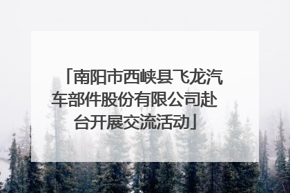 南阳市西峡县飞龙汽车部件股份有限公司赴台开展交流活动