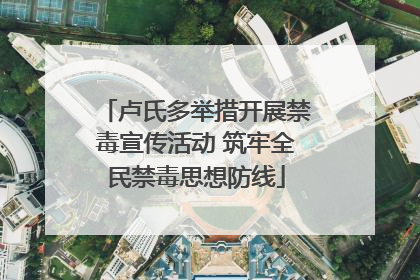 卢氏多举措开展禁毒宣传活动 筑牢全民禁毒思想防线