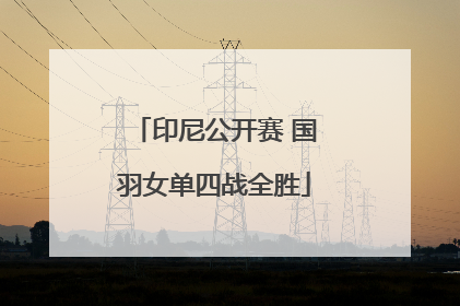 印尼公开赛 国羽女单四战全胜