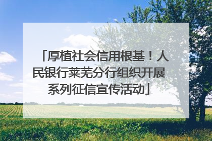 厚植社会信用根基！人民银行莱芜分行组织开展系列征信宣传活动